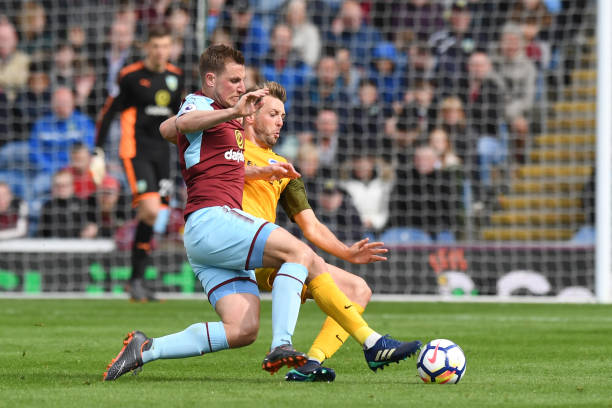 库明加有机 库明加有机