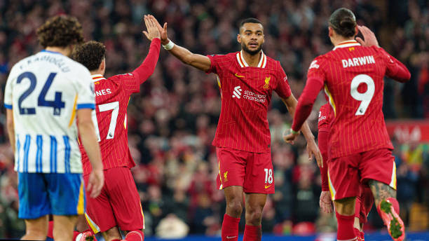 而是把目光 而是把目光