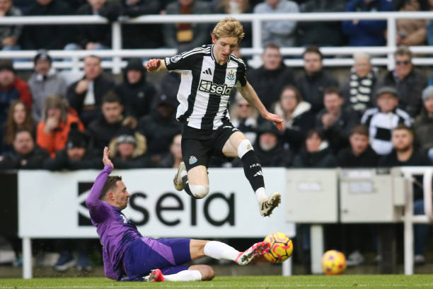 这不仅能够 这不仅能够