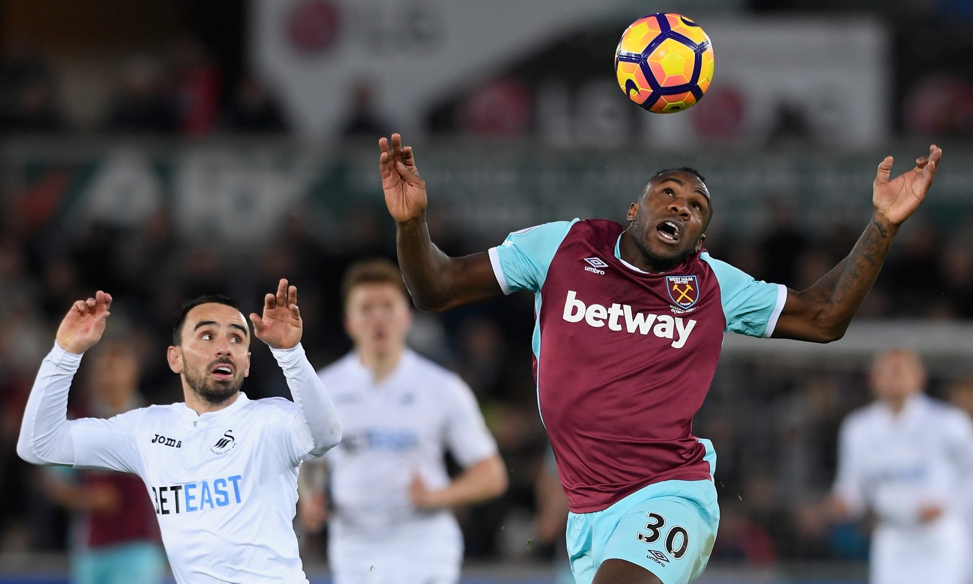 了坚实的一 了坚实的一